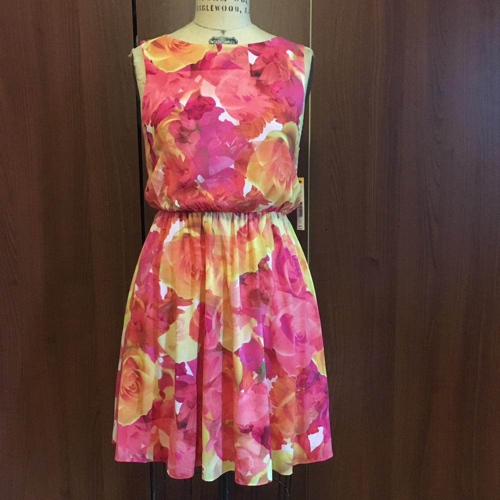 Alice and Olivia Dress